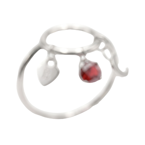 Personaliza tu Anillo